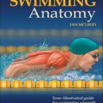 Swimming anatomy
