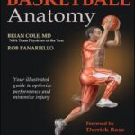 Basketball anatomy